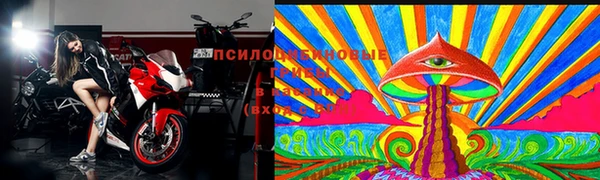 ГАЛЛЮЦИНОГЕННЫЕ ГРИБЫ Алексин