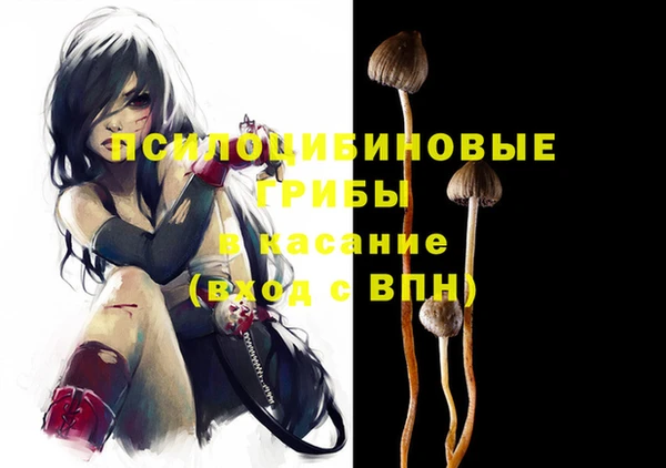 соль ск Алексеевка